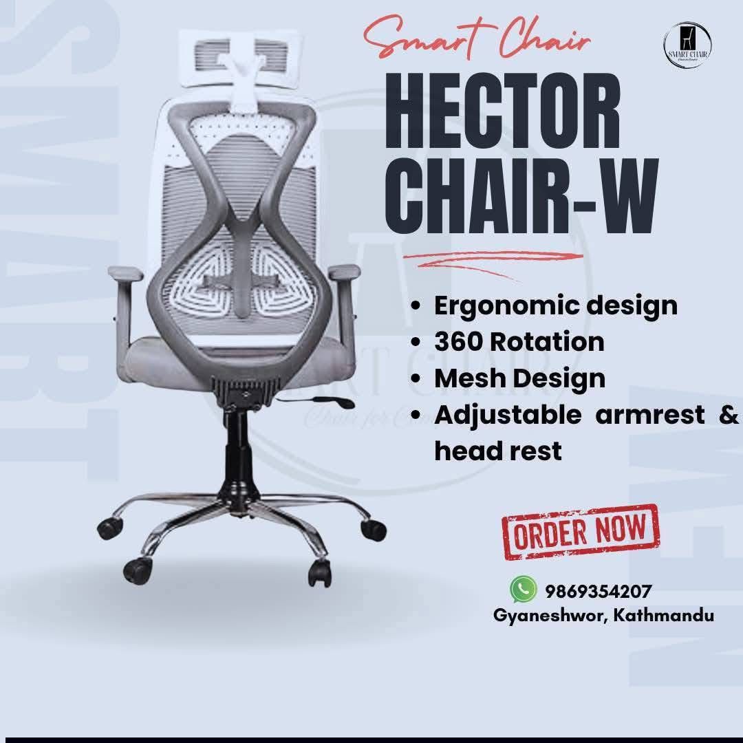 Hector Wooden Base Chair